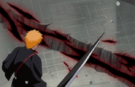 236Getsuga Tensho leaves