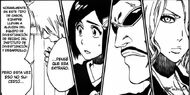 Bleach3iba.jpg