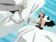 ShinjivsGrimmjow.jpg