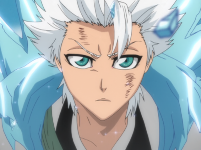 File:293Hitsugaya proclaims.png