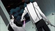 Ep364 Byakuya i Shukuro.png