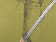 Renji shikai-1-.gif