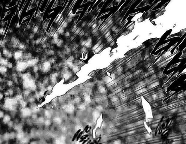 Archivo:Unohana e Ichigo se dirigen a la Tierra por entre la Garganta.jpg