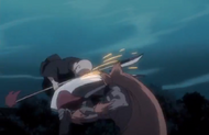 242Hozukimaru smashes
