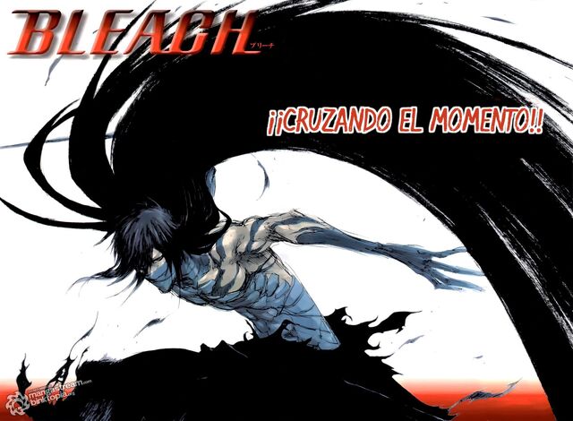 Archivo:Bleachh.jpg