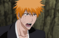 233Ichigo says