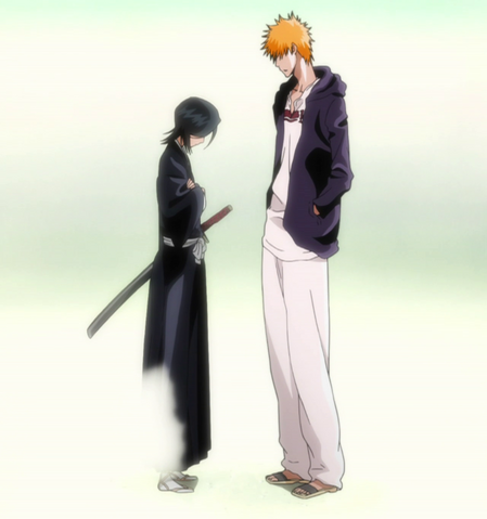 File:Ep342 Ichigo&Rukia.png