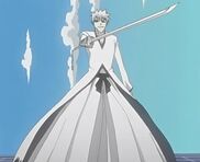 Hollow Saiga's Shikai