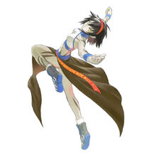 Hayamebankai