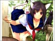 Midori cat costume