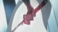 Shukukon Shikai