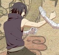 Suzaku Wing Chun