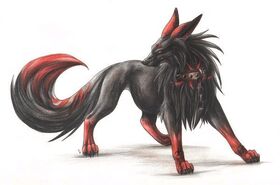 Sakura's Wolf Form