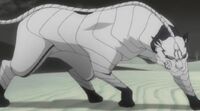 Grimmjow adjuchas.jpg