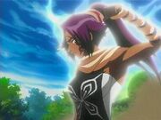 YoruichiShunko.jpg