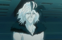 Ep309MergedZangetsus.png