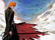 Bankai ichigo.jpg