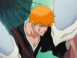 Ichigo in den seilen