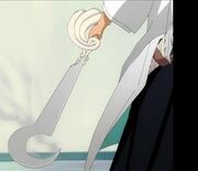 Raika4.jpg
