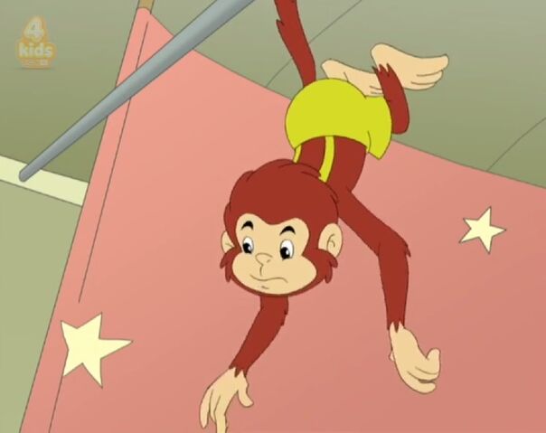 File:Yoyo monkey.jpg