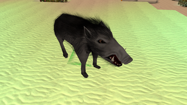 File:Feral Pig.png