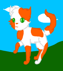 Goldenpaw 1