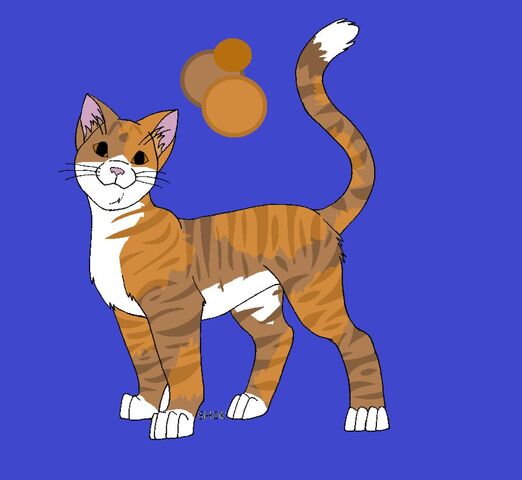 File:Amberstorm Ref.jpeg
