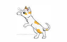 Goldenpaw