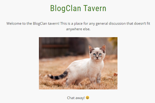 File:TavernCapture.png
