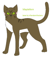 Maple-0