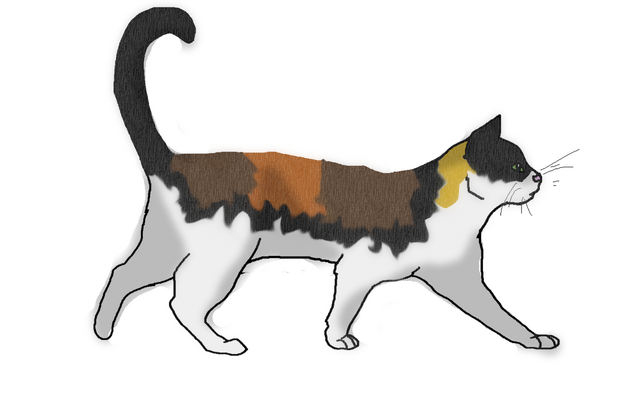 File:Leafpaw.png
