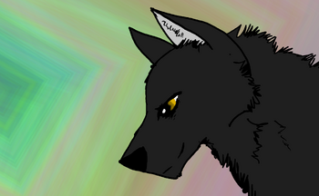 Blackie