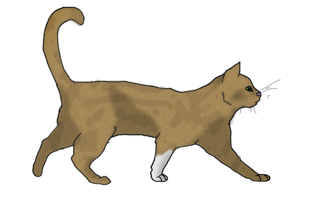 File:Copperclawlinear.png