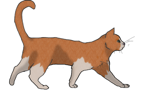 File:Hazelburrow.lineart.png