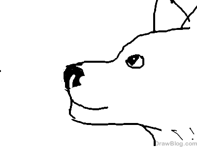 File:Rainy's Wolf.png