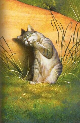 File:Feathertail.jpg