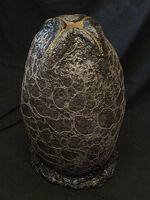 Xenomorph Egg