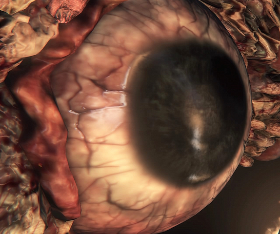 File:Bloodborne™ 20151019162645.png