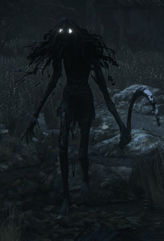 File:Bloodborne™ 20150511192838.png