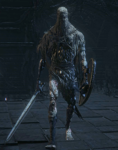 File:Bloodborne™ 20150526234541.png