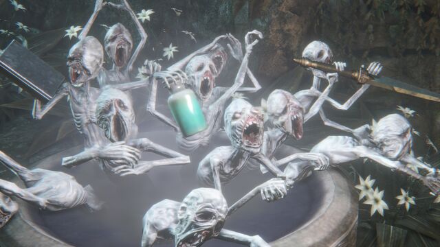 File:Bloodborne™ 20150622130731.jpg