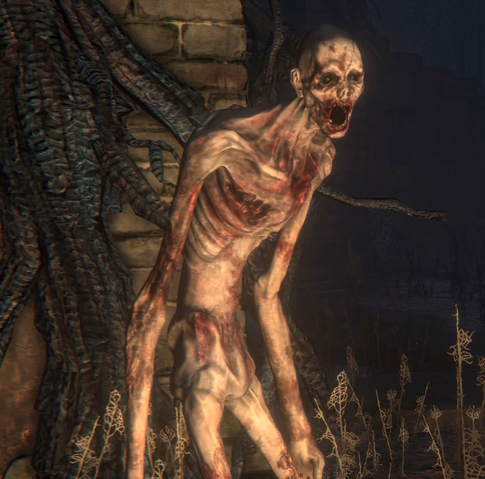 File:Bloodborne™ 20151018185905.png
