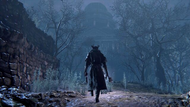 File:Bloodborne™ 20151014083259.jpg