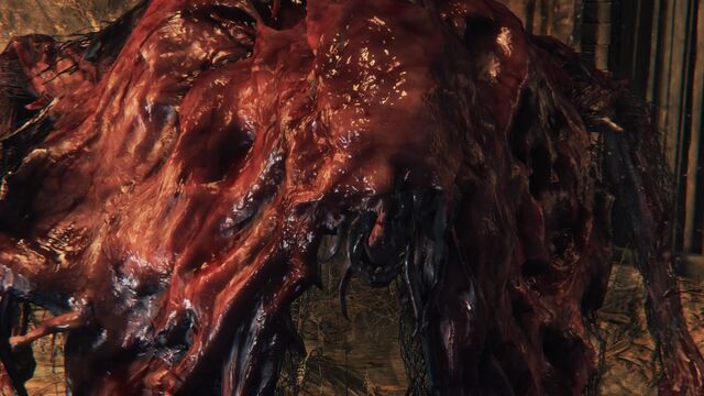 File:Bloodborne™ 20151021183637.jpg
