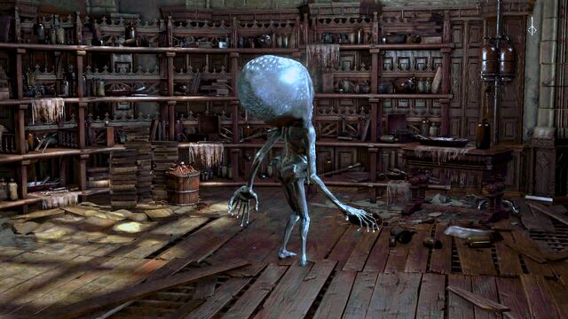 File:Bloodborne™ 20150622164809.jpg