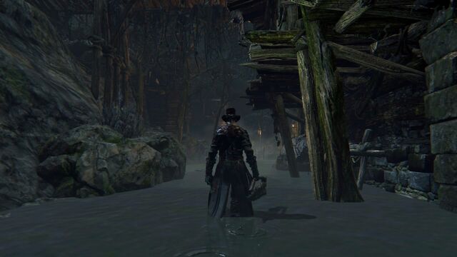 File:Bloodborne™ 20151013081421.jpg