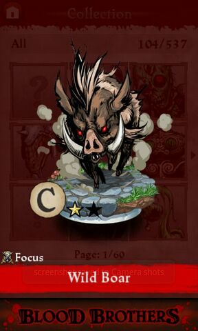 File:Wild Boar (collection).jpg