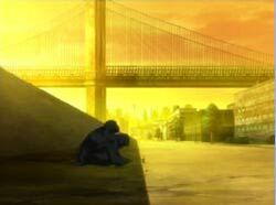 Bridge
