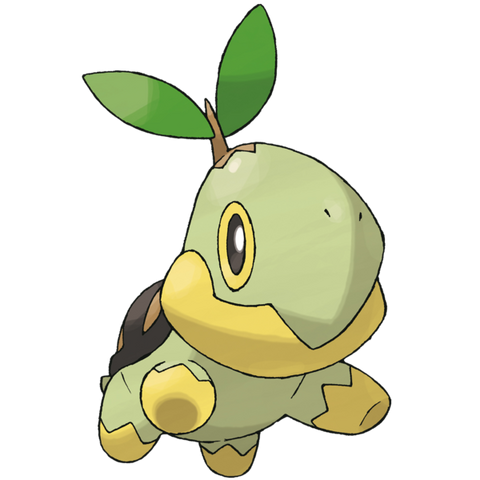 File:Caitlin's Turtwig.png