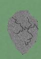 File:Cracked Cement Bloon.jpg